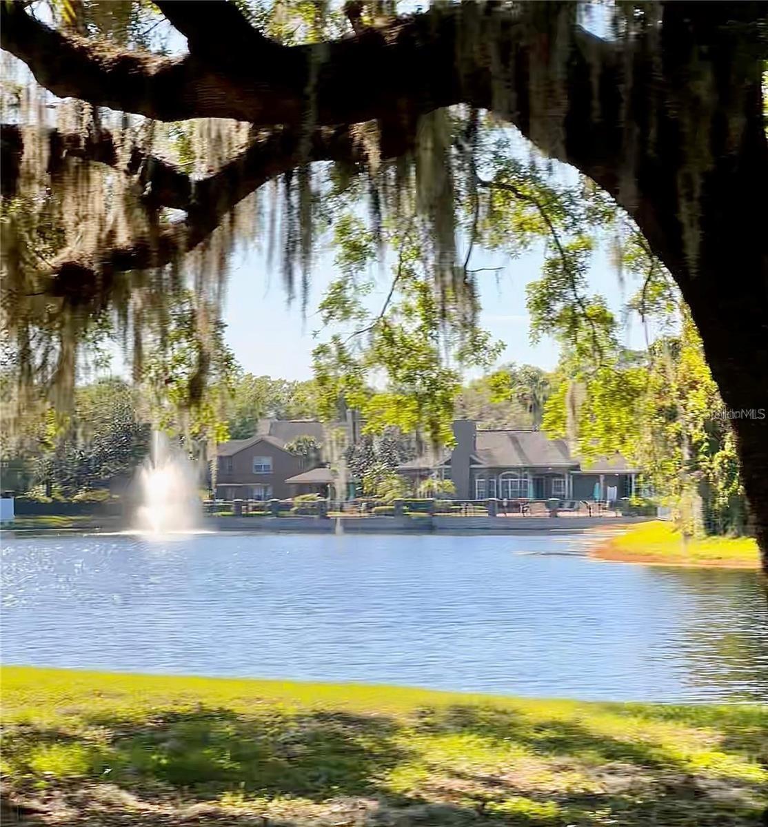 Image 36 of 44 For 413 Summit Ridge Place 115