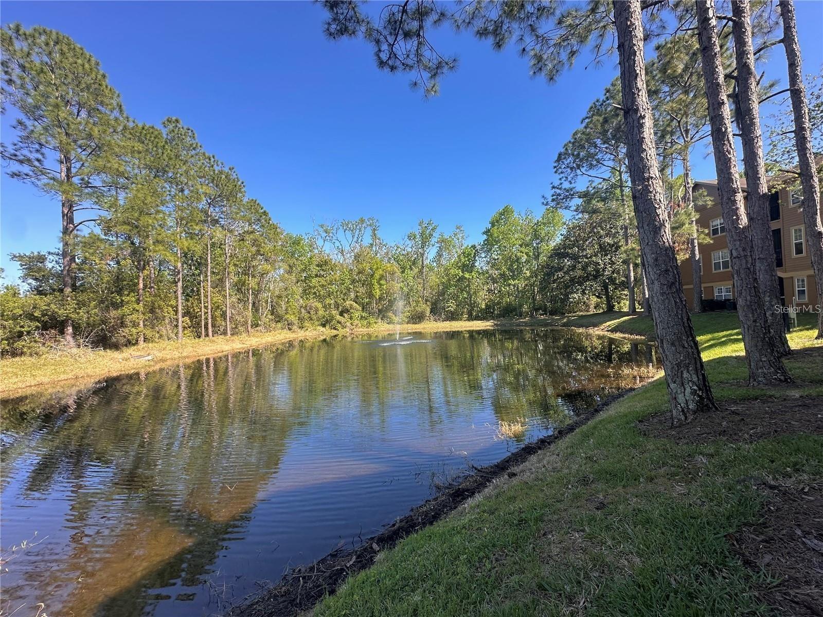 Image 4 of 44 For 413 Summit Ridge Place 115