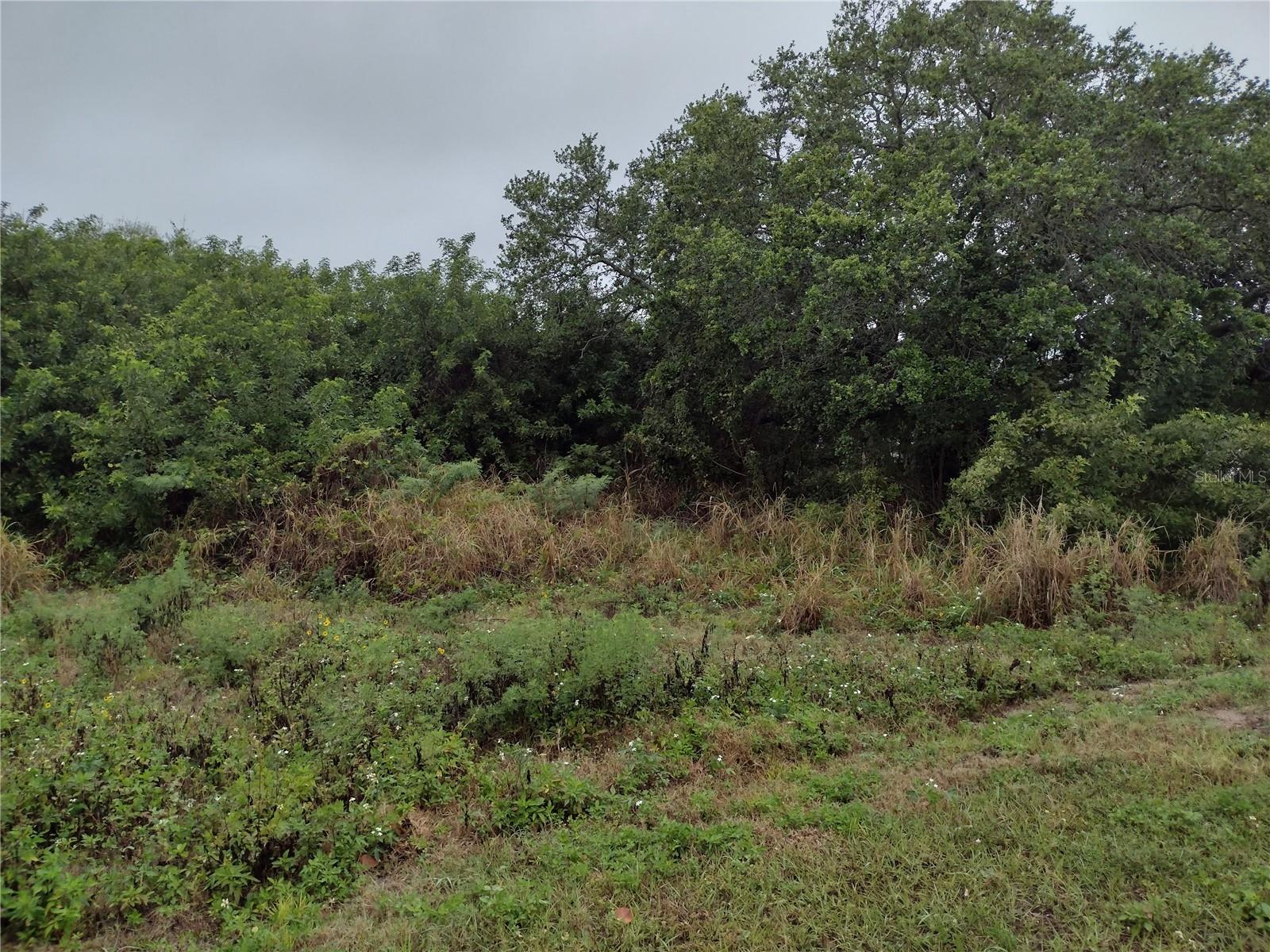 Image 7 of 9 For 000 Atlantic Avenue