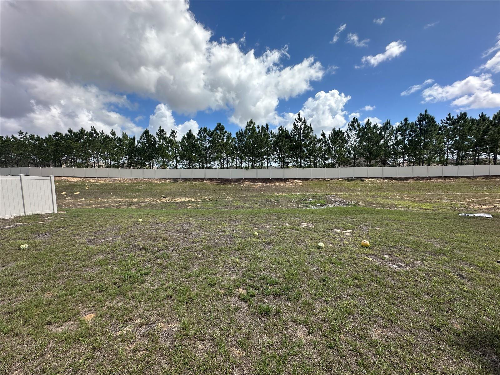 Image 20 of 21 For 1292 Sugarwood Street