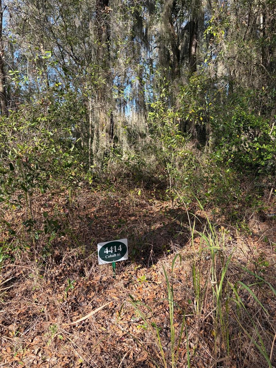 Image 3 of 5 For 4414 Cobalt Street