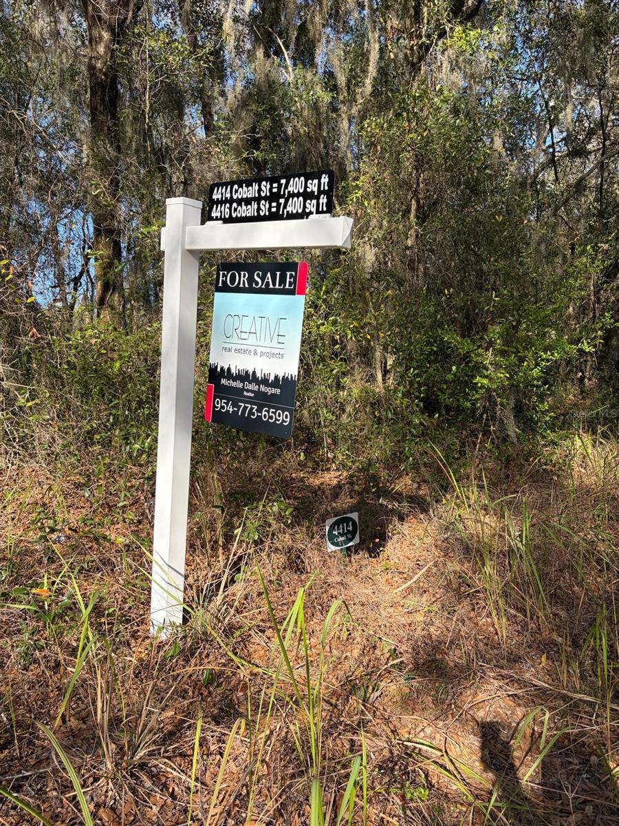 Image 4 of 5 For 4414 Cobalt Street