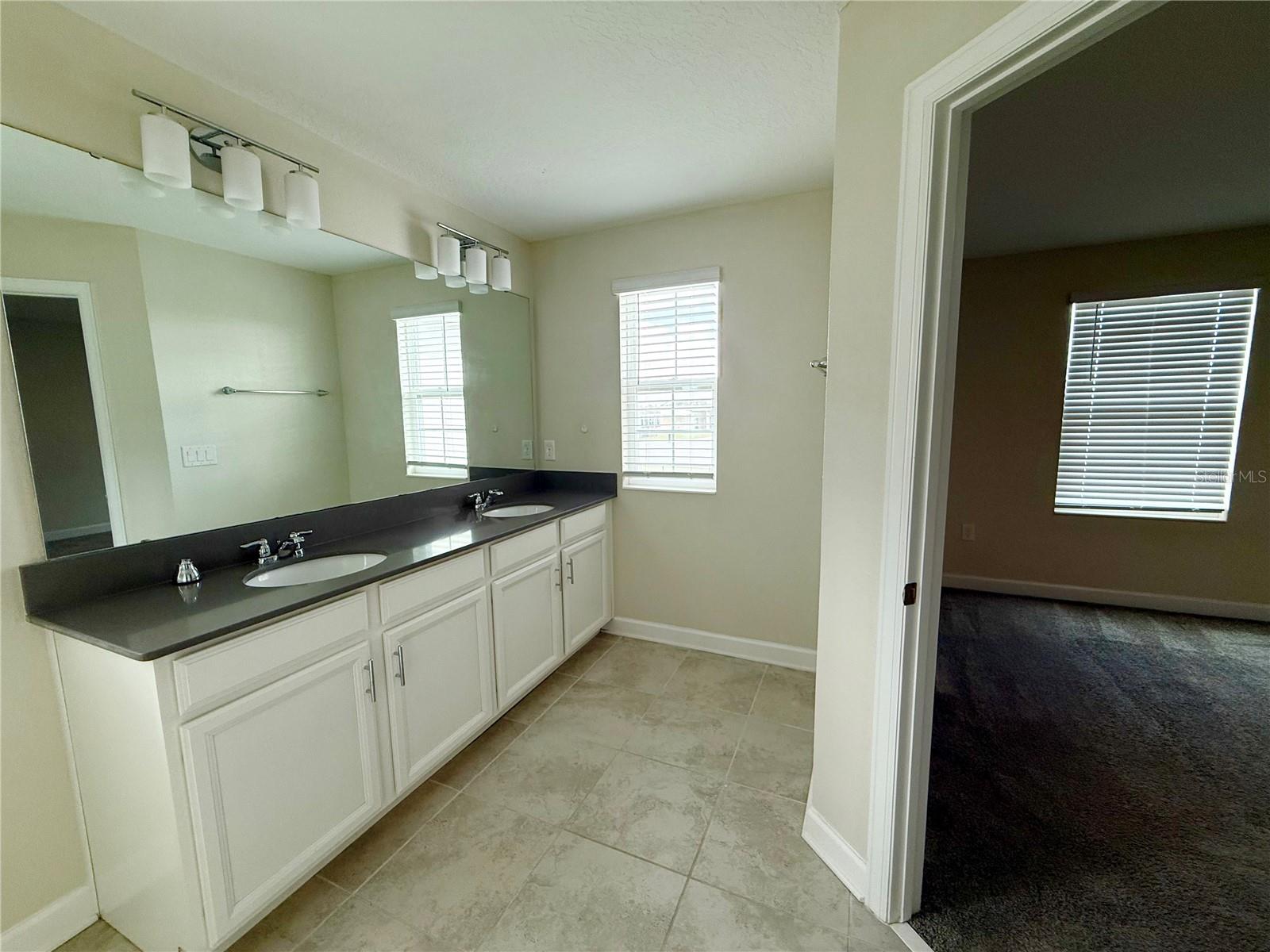 Image 12 of 19 For 16117 Water Spring Boulevard