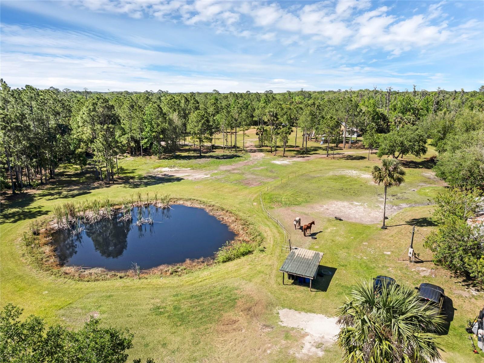 Image 2 of 13 For 2321 Waccassa Street