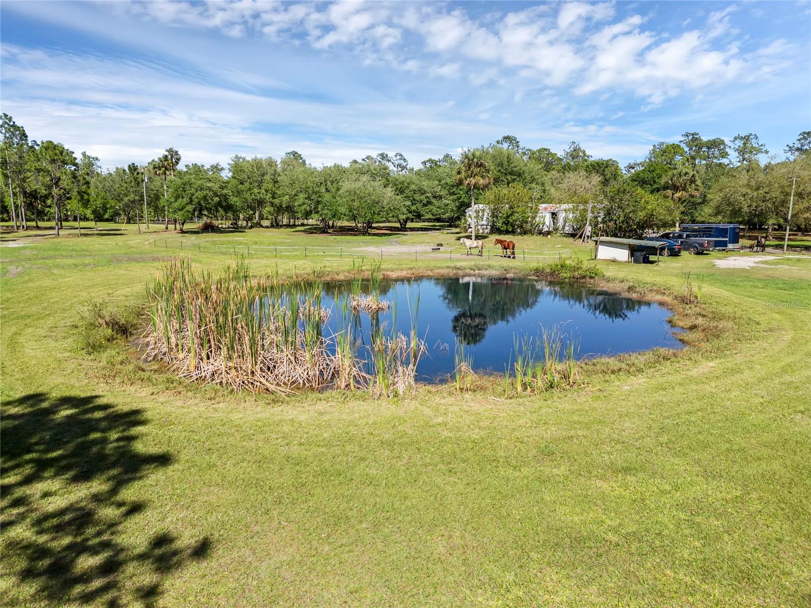 Image 4 of 13 For 2321 Waccassa Street