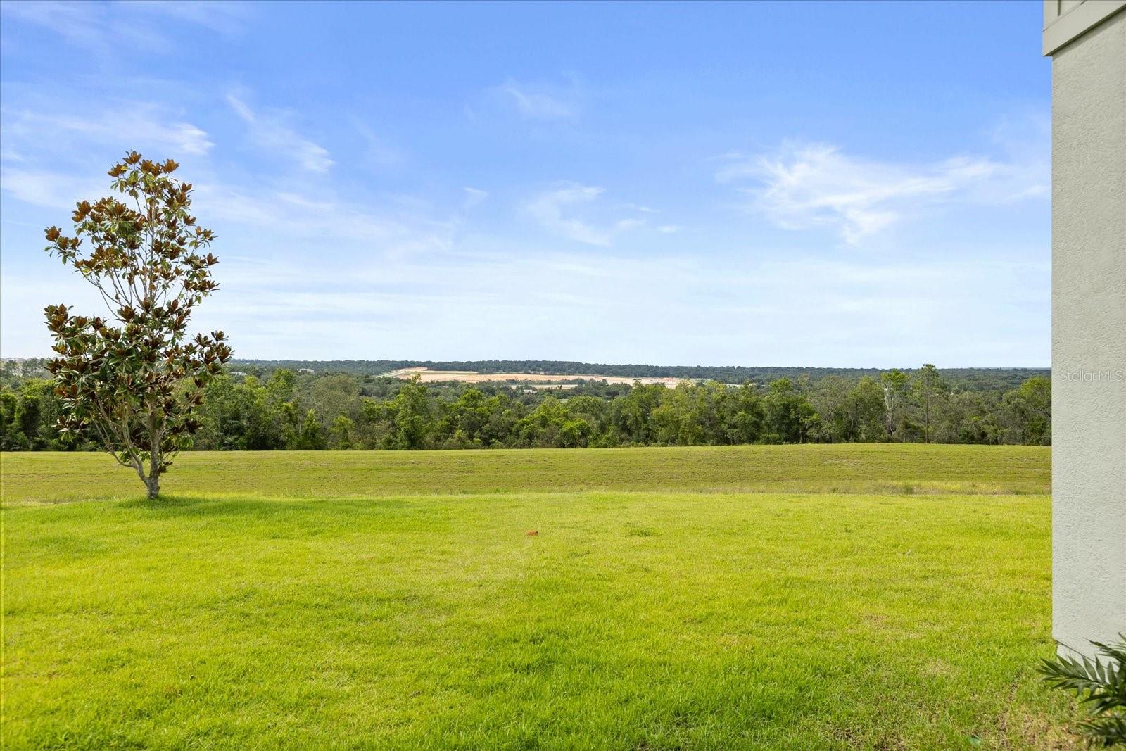 Image 5 of 48 For 2302 Gold Dust Drive