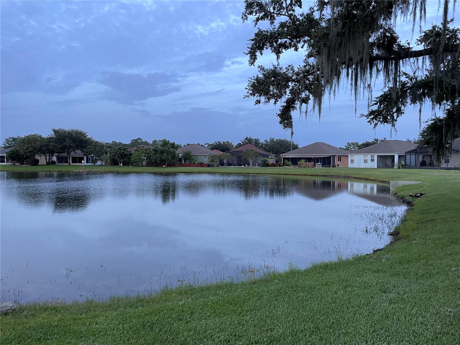 Image 20 of 40 For 10372 Andover Point Circle