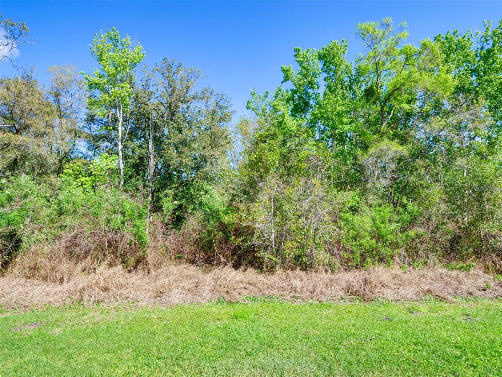 Image 37 of 46 For 1289 Yellow Finch Drive