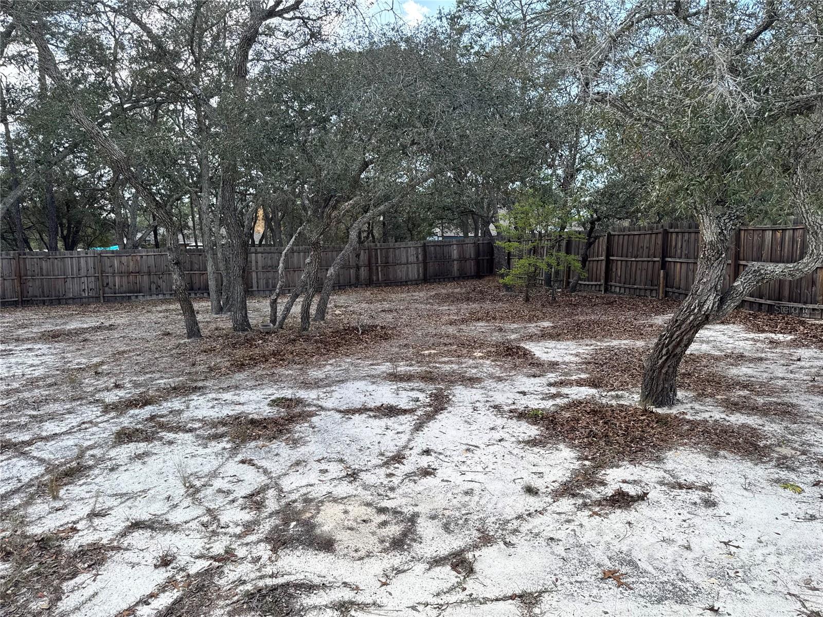 Image 51 of 64 For 12055 Robina Road