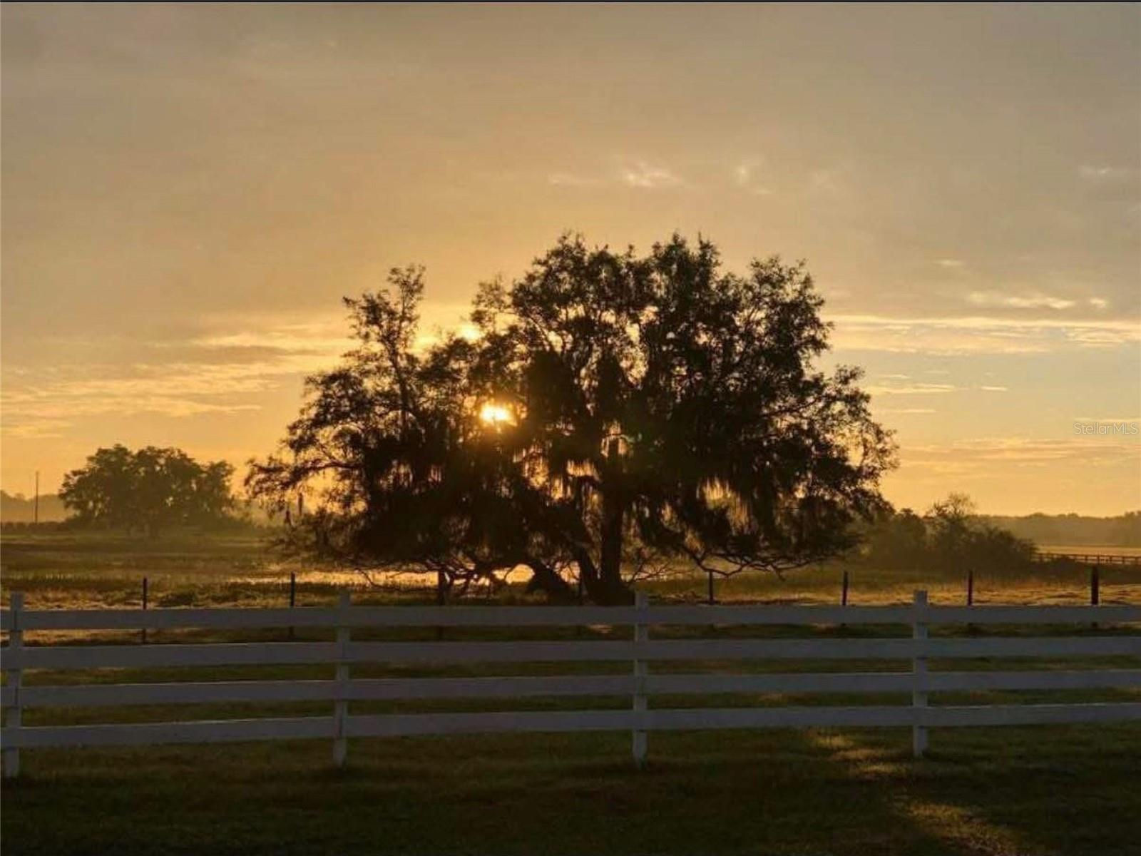 Image 4 of 84 For 4015 Indigo Road