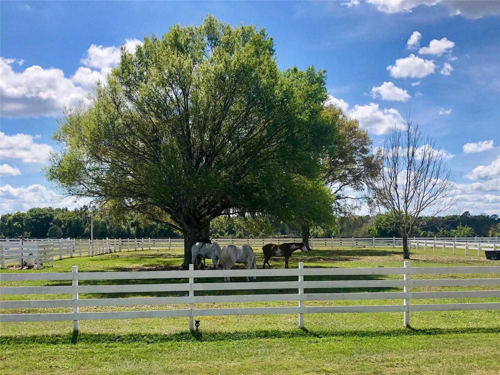 Image 72 of 84 For 4015 Indigo Road