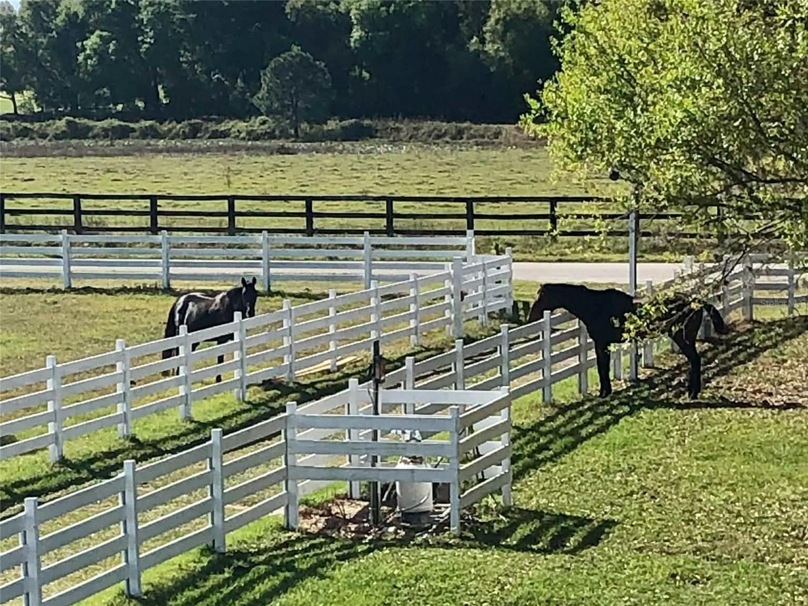 Image 73 of 84 For 4015 Indigo Road