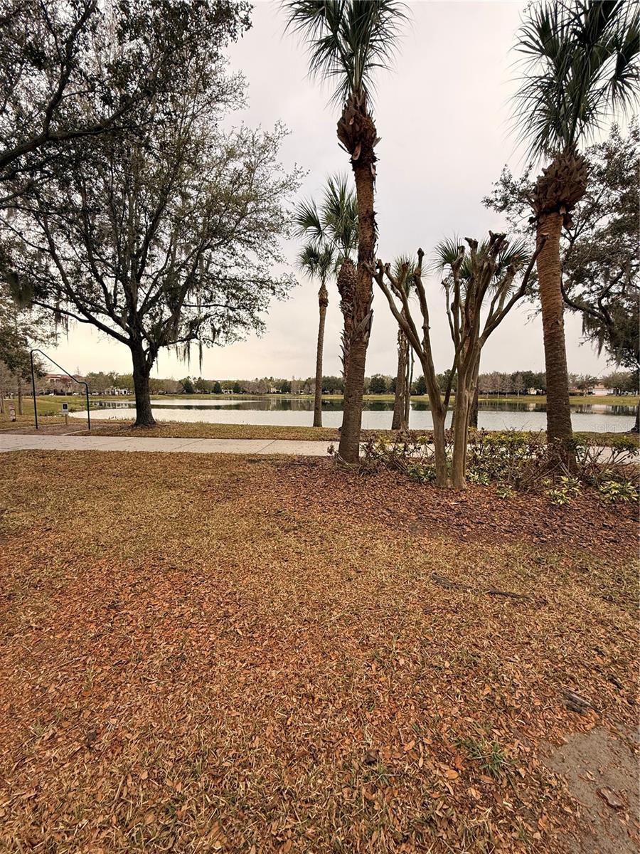 Image 22 of 22 For 11456 Center Lake Drive