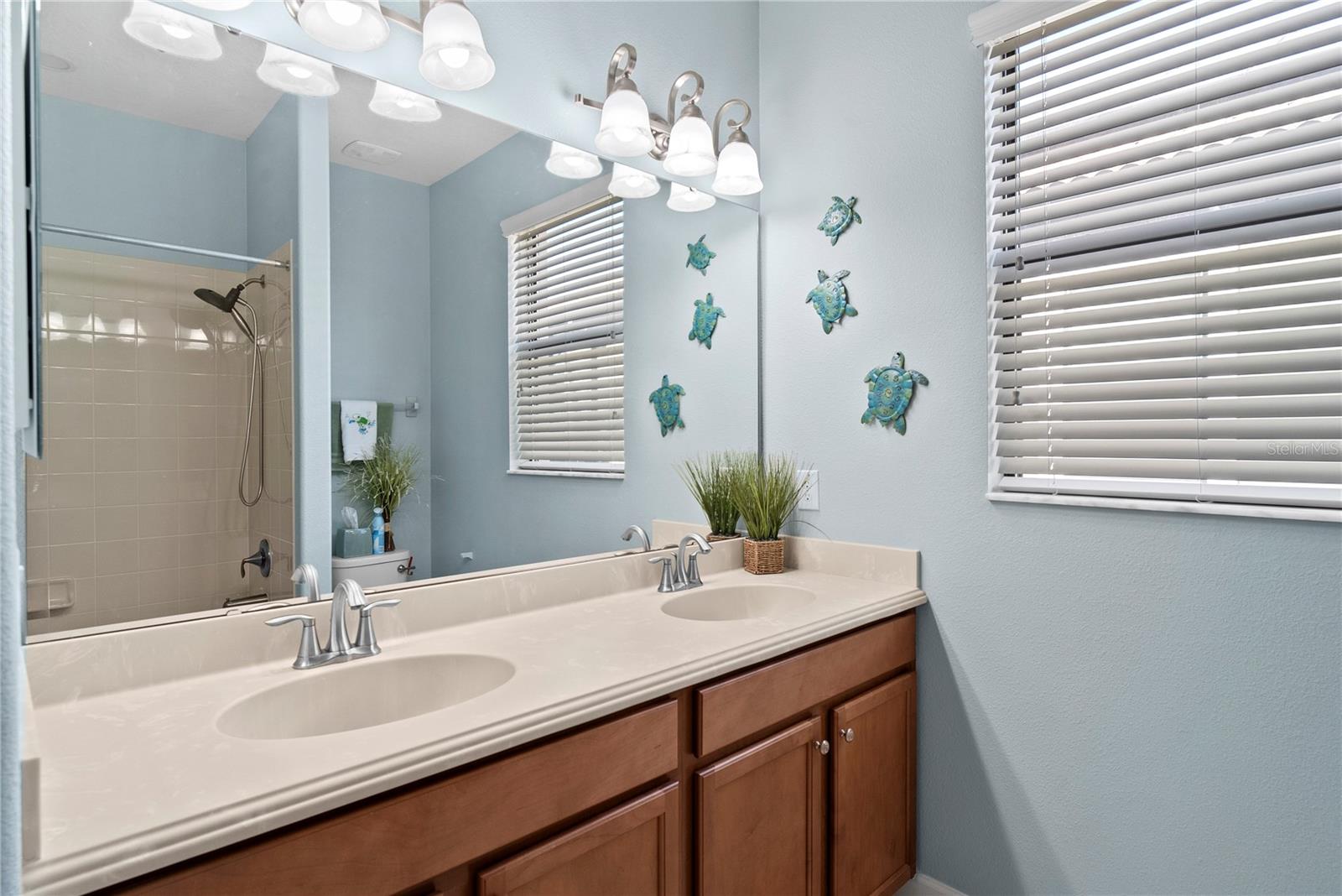 Image 21 of 51 For 1389 Dolphin Head Street