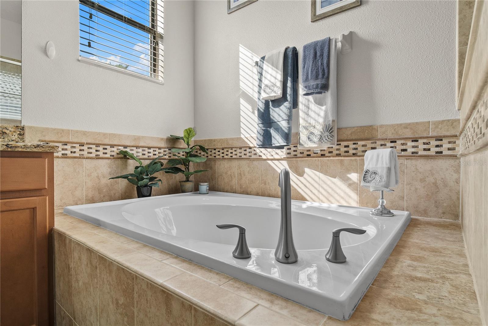 Image 27 of 51 For 1389 Dolphin Head Street