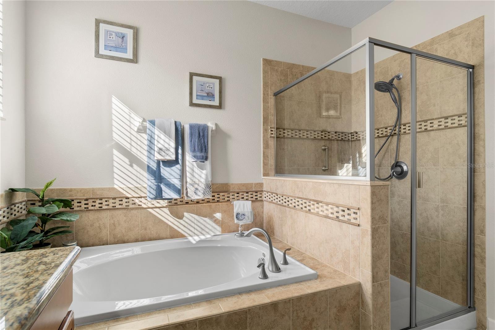 Image 28 of 51 For 1389 Dolphin Head Street