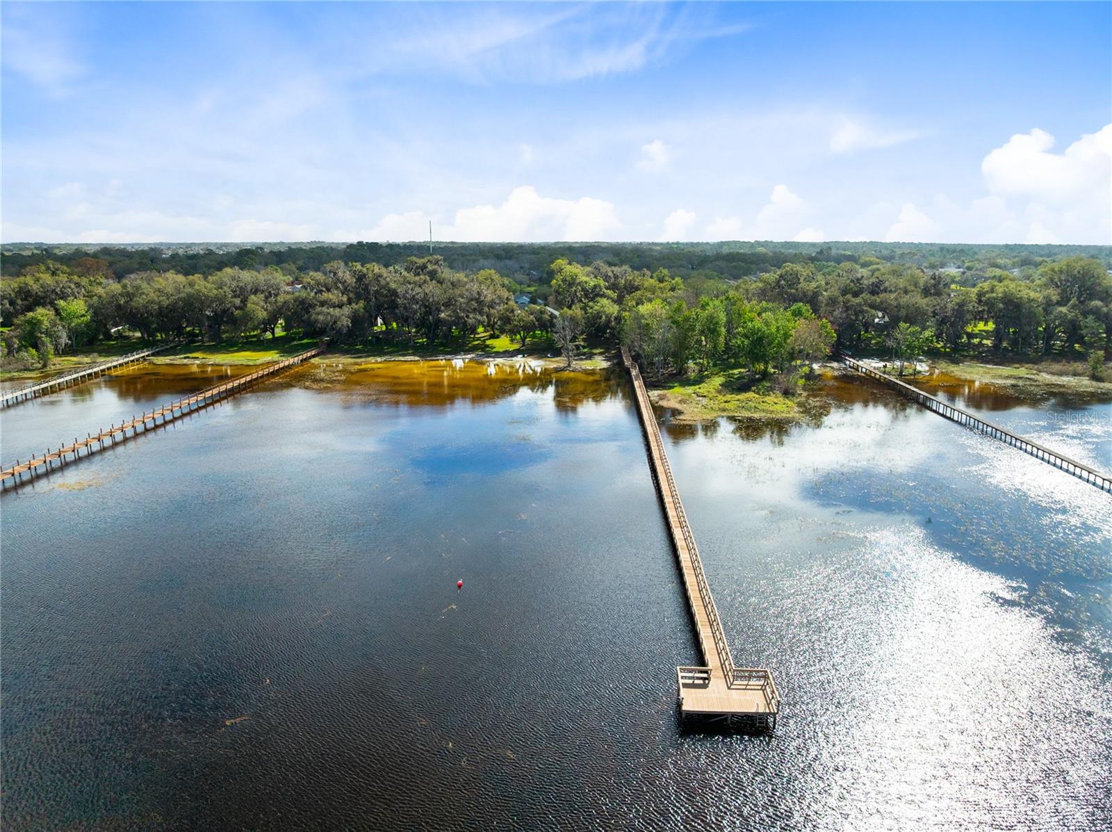 Image 45 of 61 For 4846 Calasans Avenue