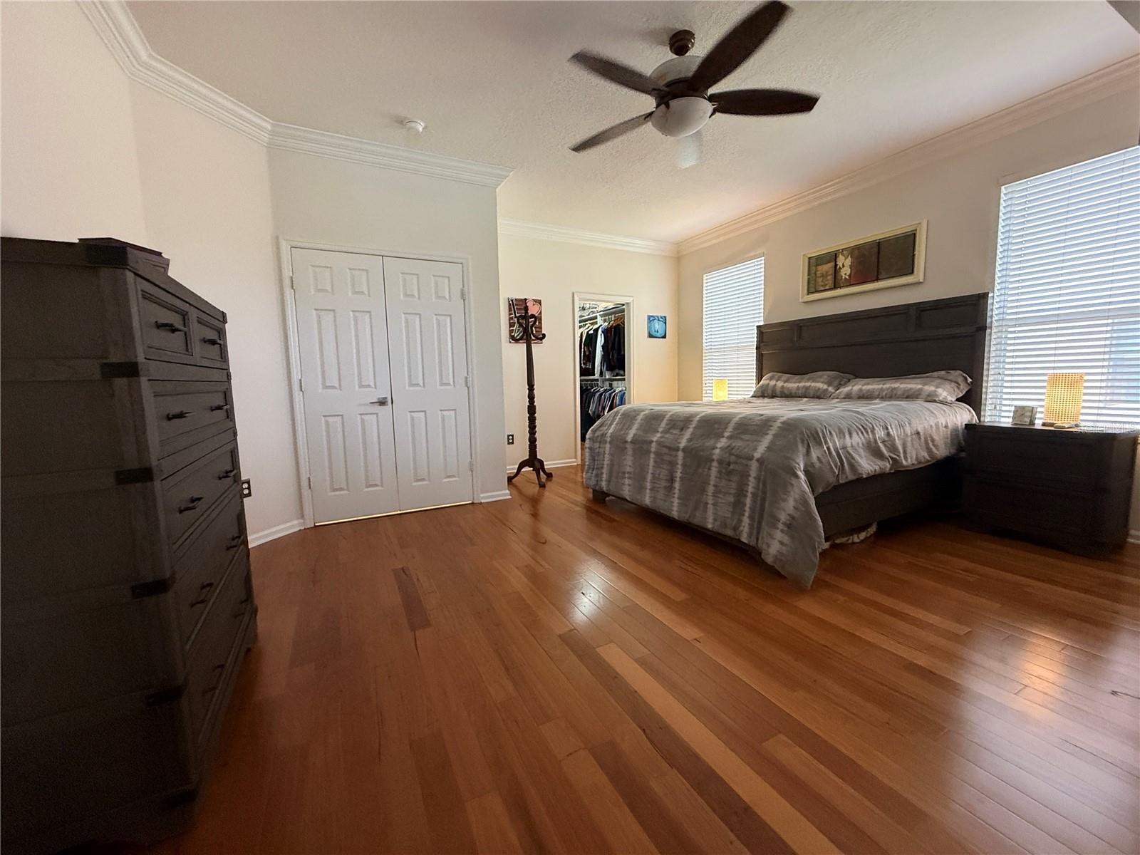 Image 14 of 54 For 3154 Hanging Moss Circle