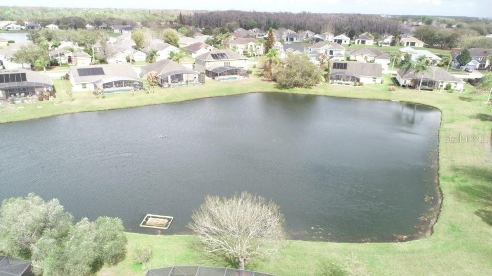 Image 50 of 54 For 3154 Hanging Moss Circle
