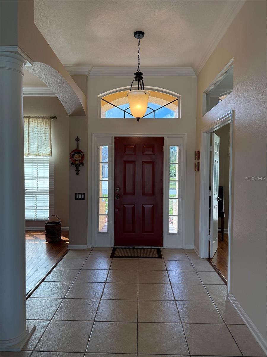 Image 6 of 54 For 3154 Hanging Moss Circle