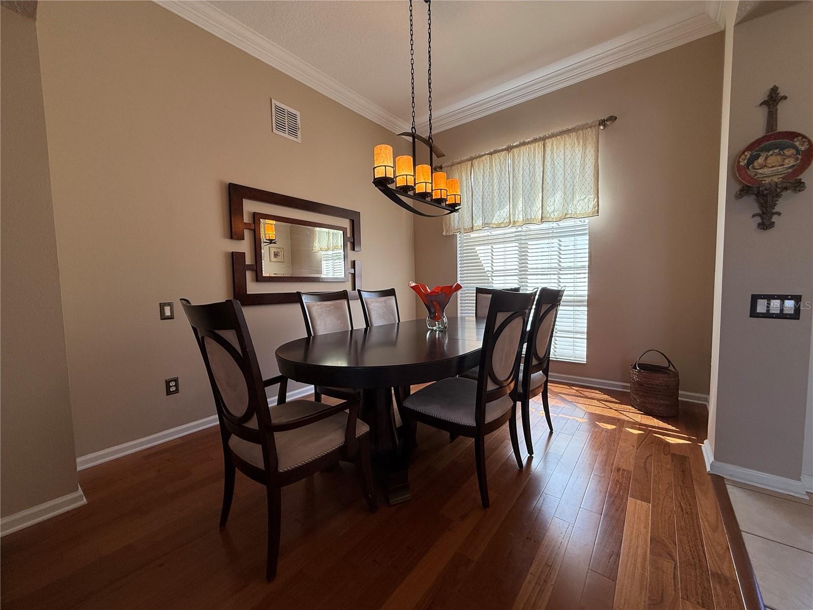 Image 7 of 54 For 3154 Hanging Moss Circle