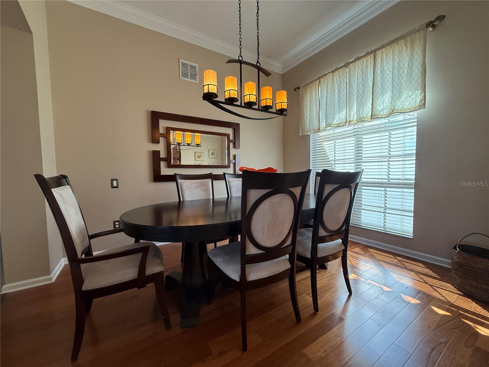 Image 8 of 54 For 3154 Hanging Moss Circle