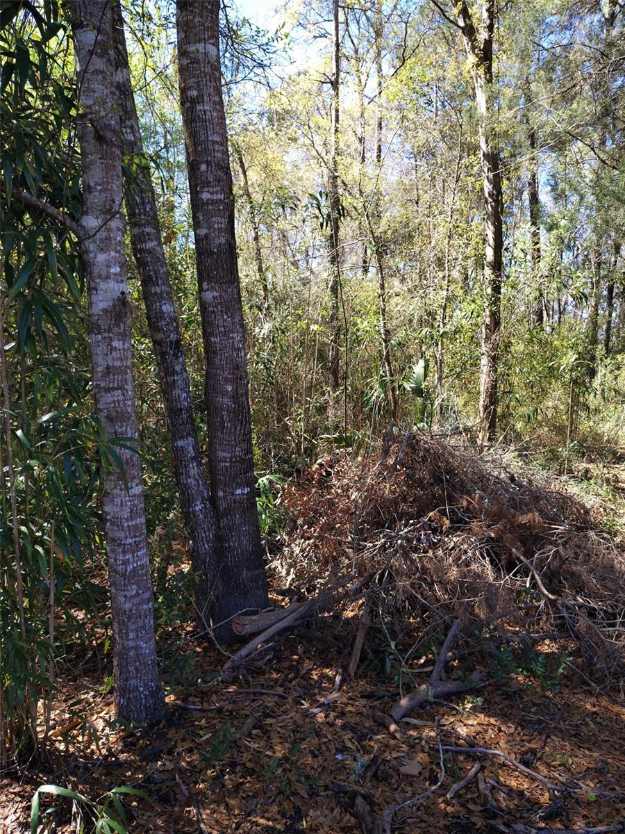 Image 4 of 12 For 587 Marshburn Drive