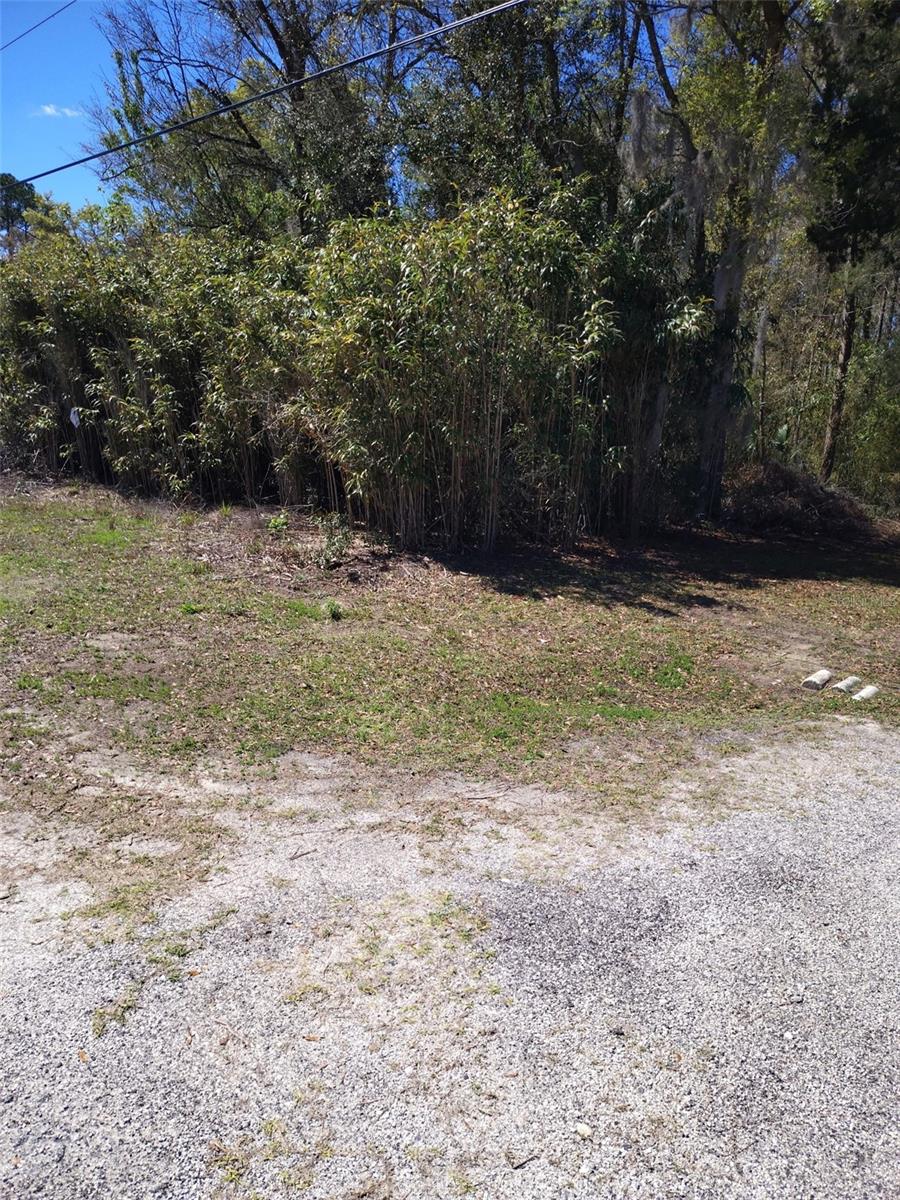 Image 5 of 12 For 587 Marshburn Drive