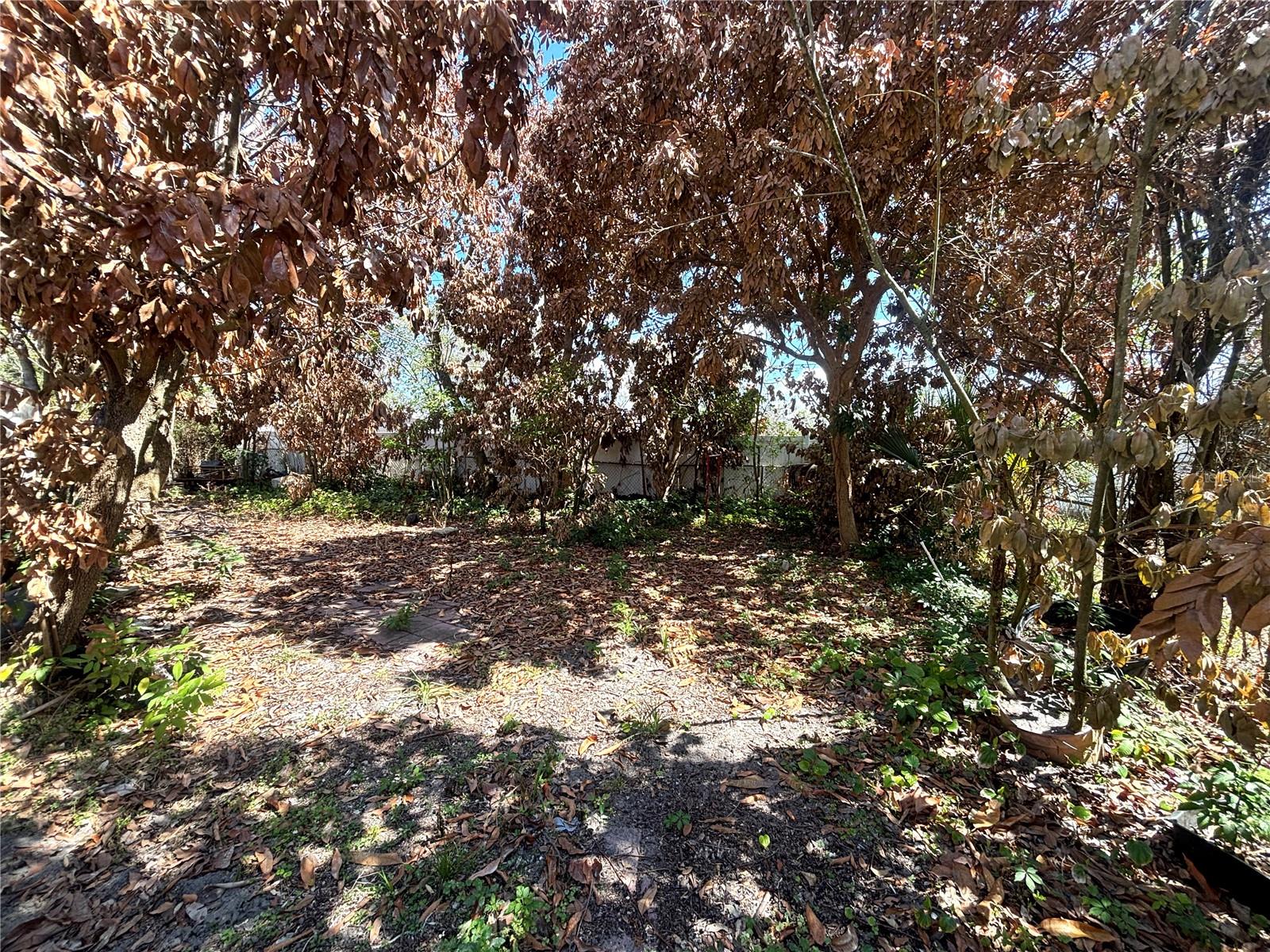 Image 17 of 18 For 531 Carlisle Avenue