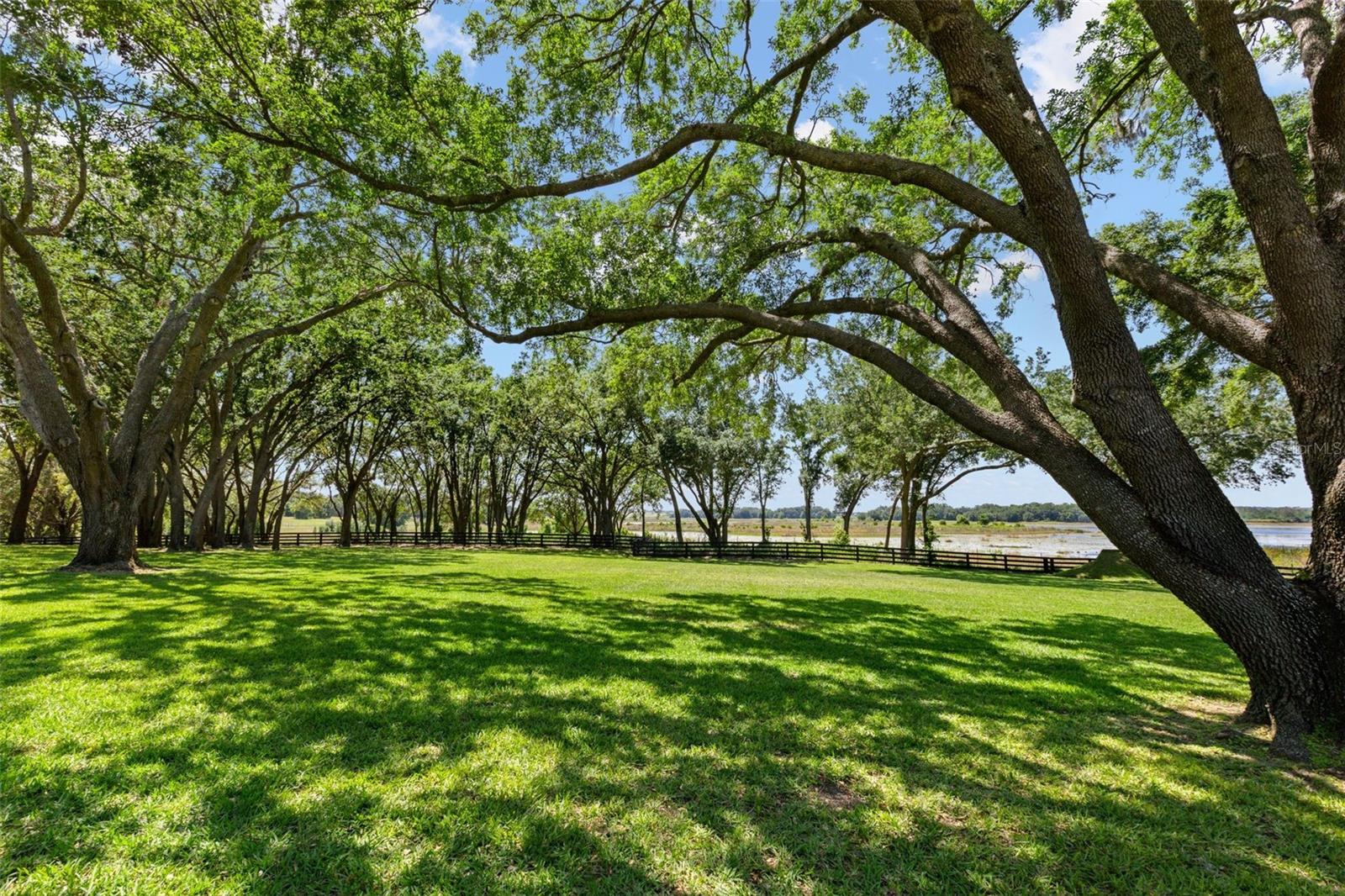 Image 45 of 58 For 9751 Quiet Lane