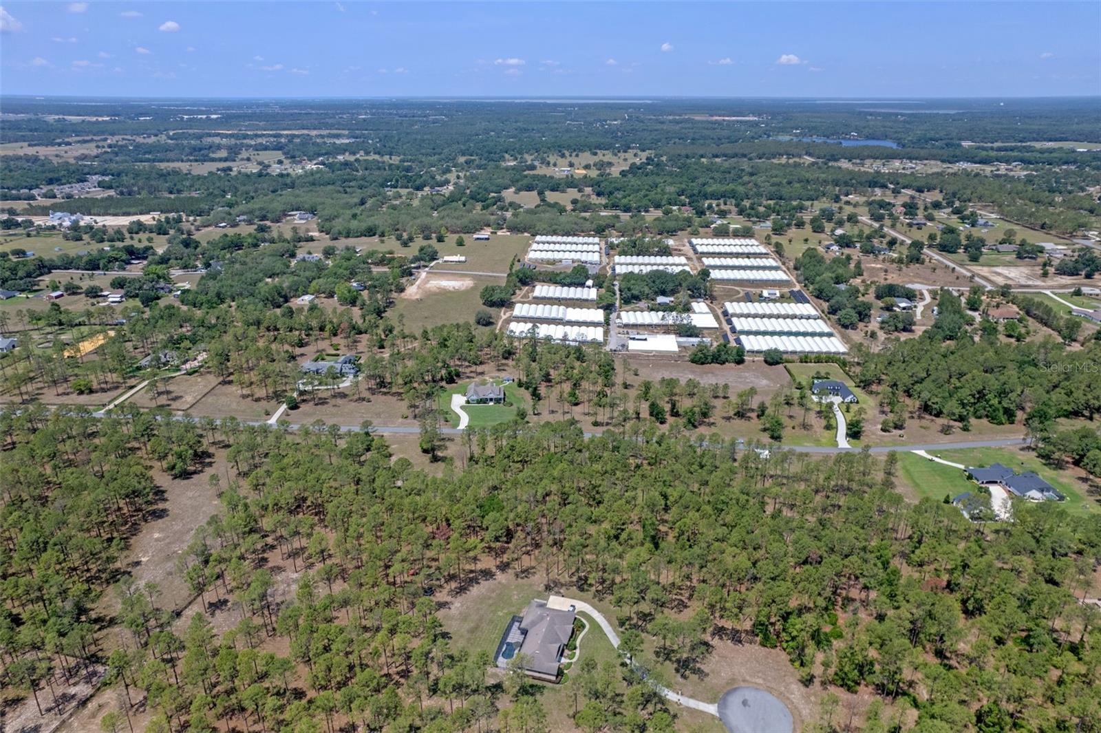 Image 10 of 16 For 35408 Pinegate Trail