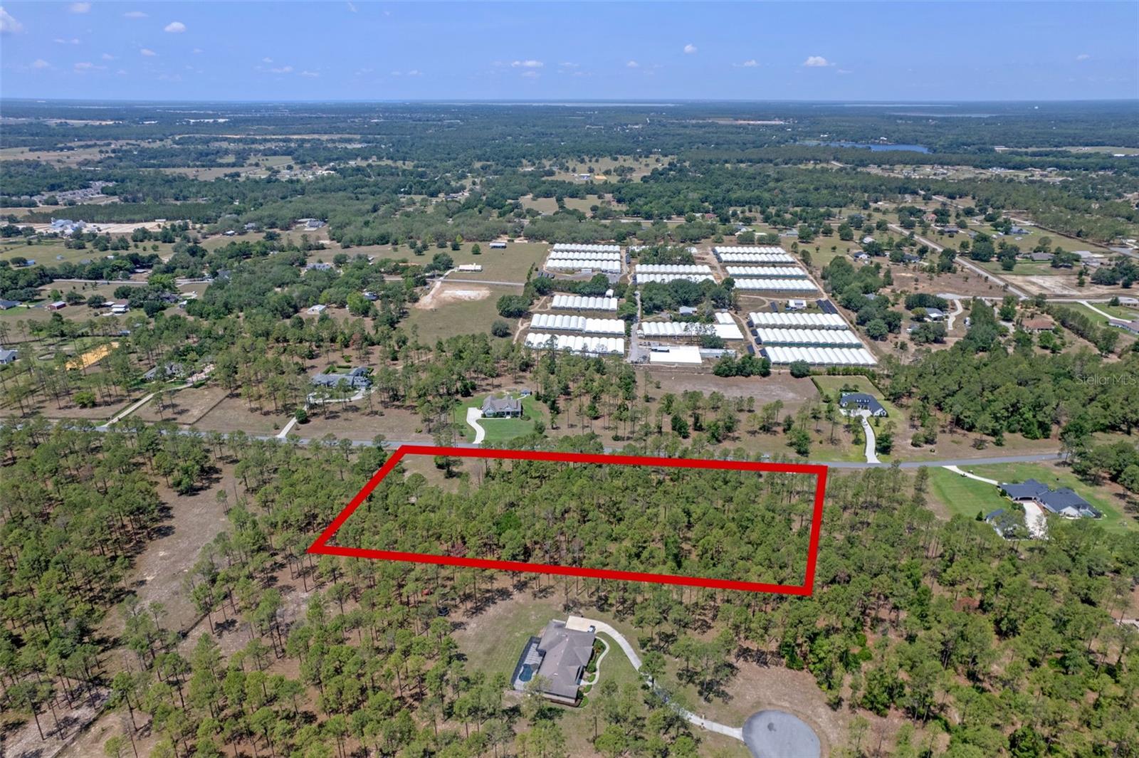 Image 11 of 16 For 35408 Pinegate Trail