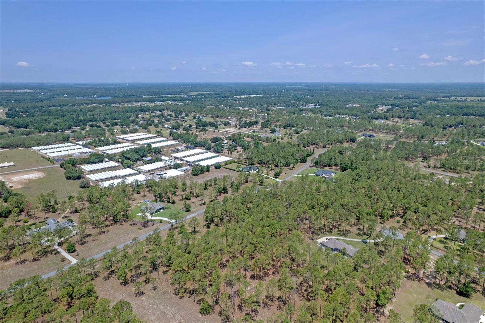 Image 12 of 16 For 35408 Pinegate Trail