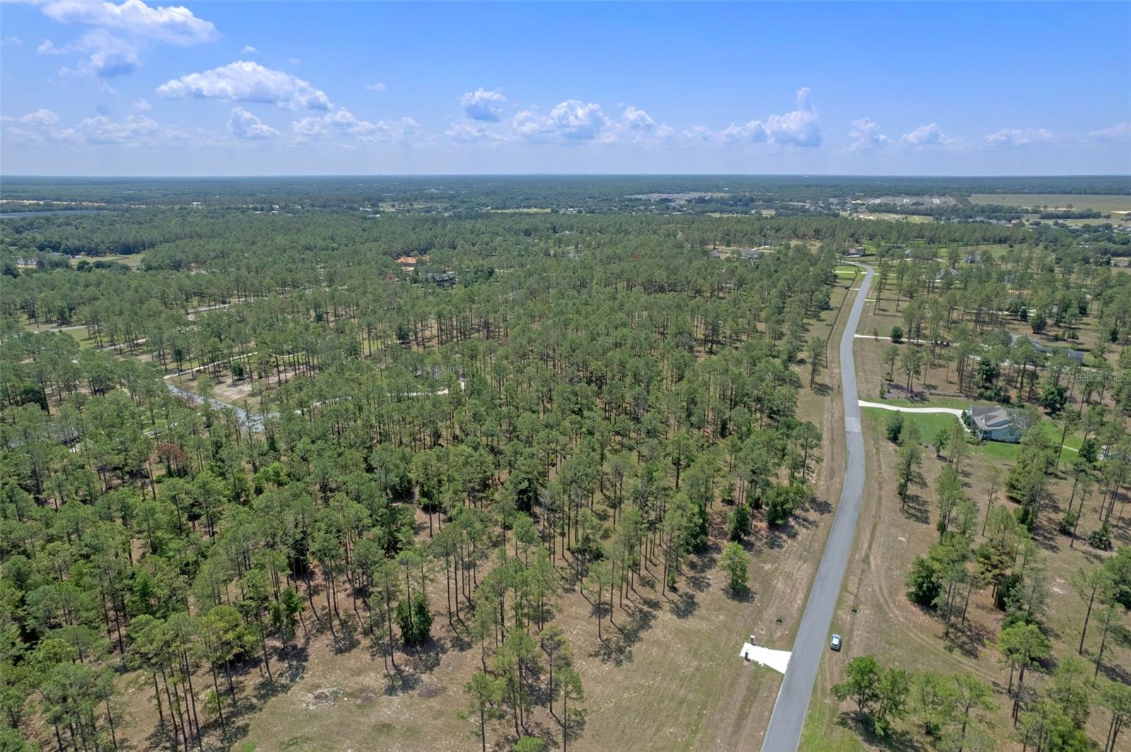 Image 15 of 16 For 35408 Pinegate Trail