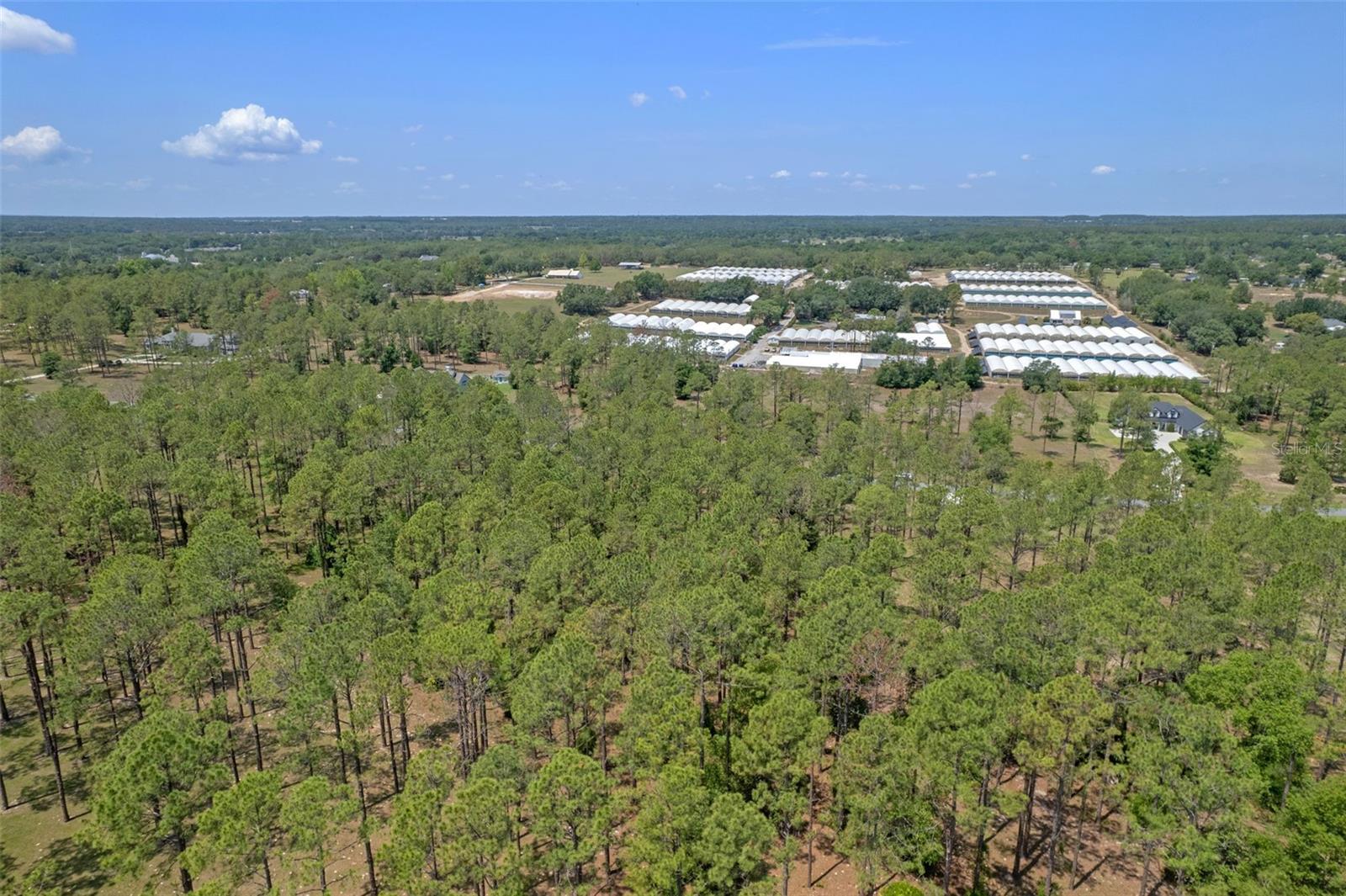 Image 16 of 16 For 35408 Pinegate Trail