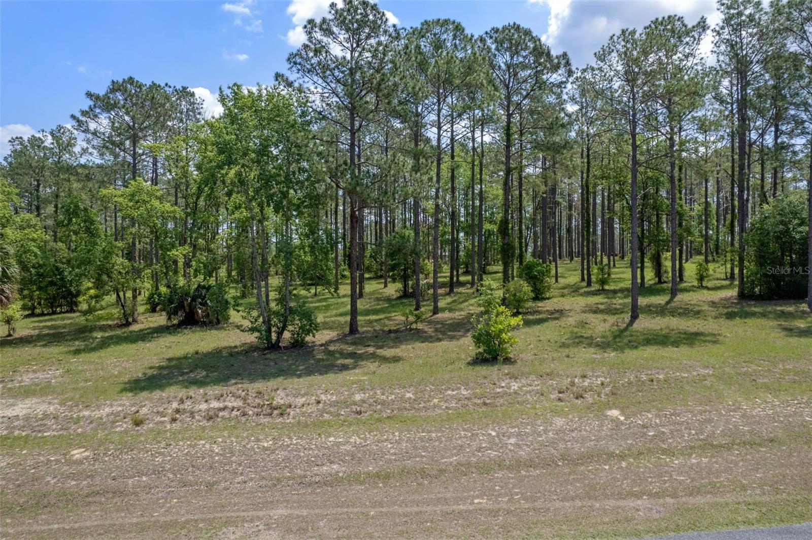 Image 7 of 16 For 35408 Pinegate Trail