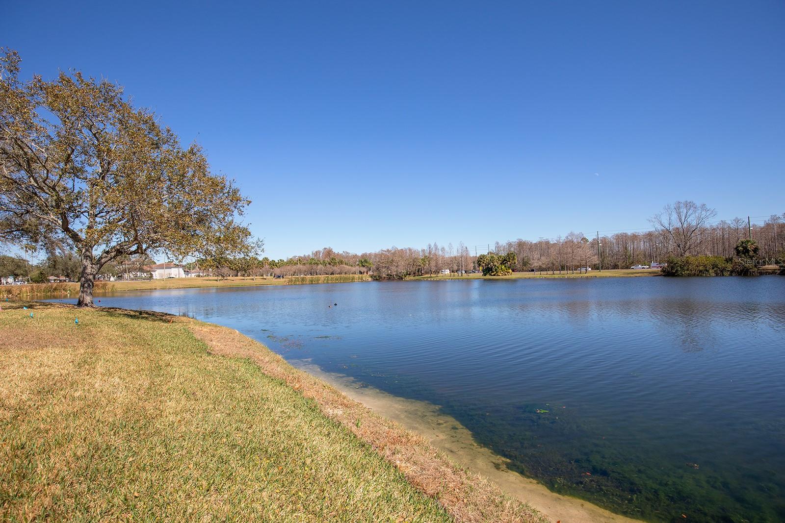 Image 20 of 29 For 2015 Reston Road 2208