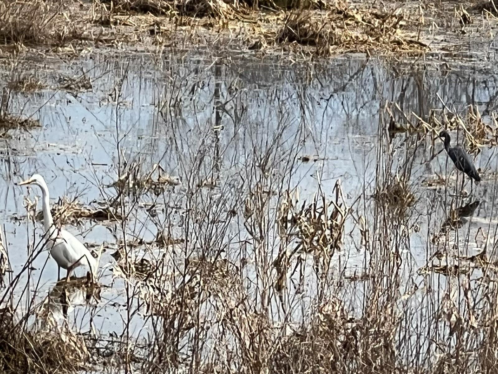 Image 8 of 9 For Estes (highland Dr.) Road