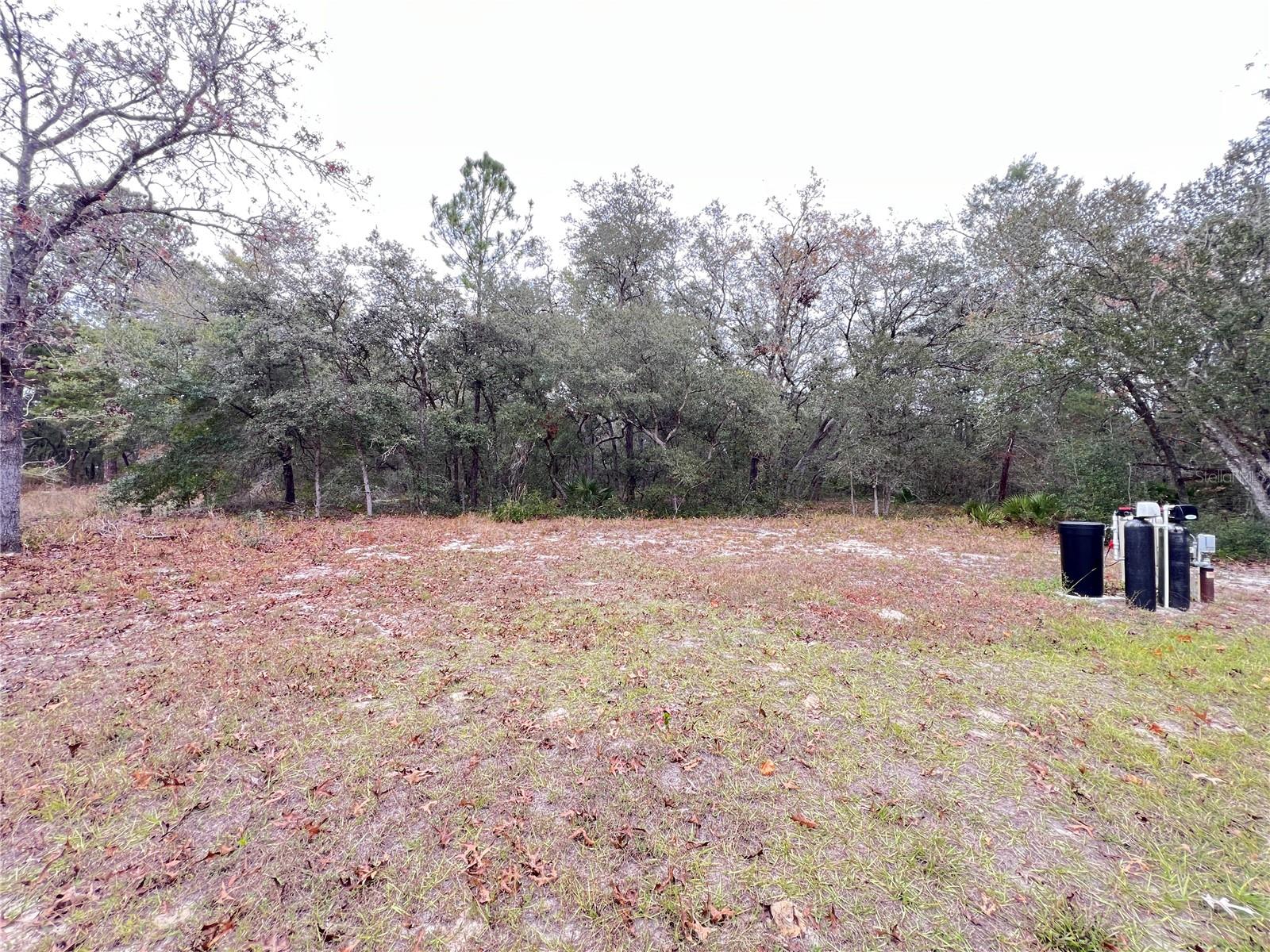 Image 24 of 24 For 83 Guava Pass