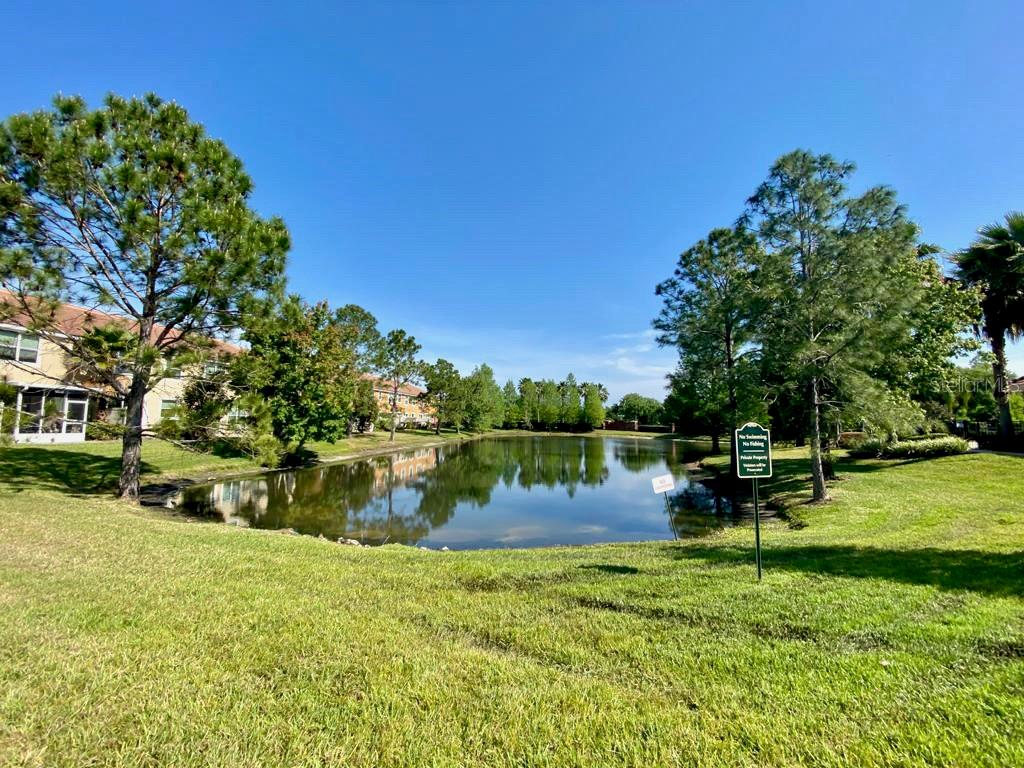 Image 22 of 22 For 4866 Matteo Trail