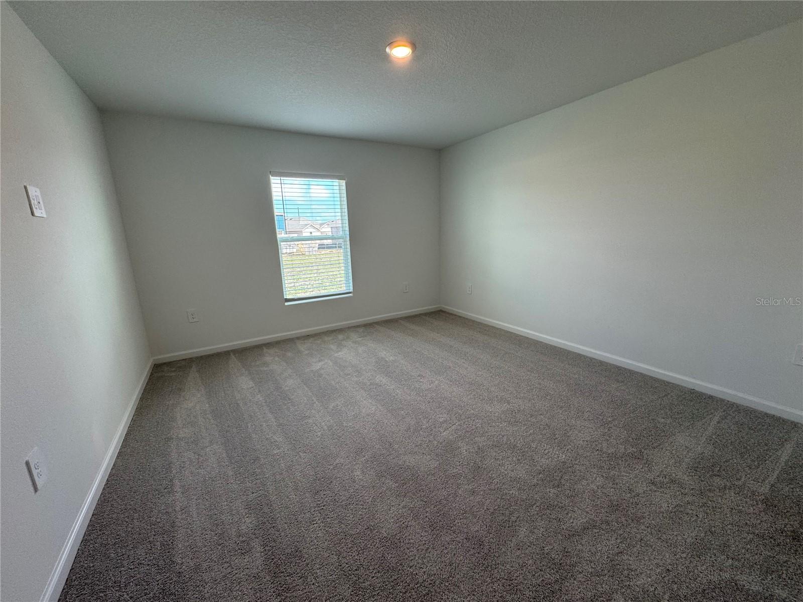 Image 16 of 31 For 2185 Lasso Loop