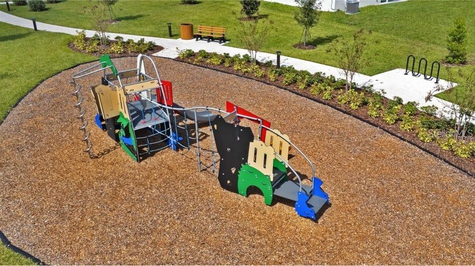 Image 28 of 31 For 2185 Lasso Loop