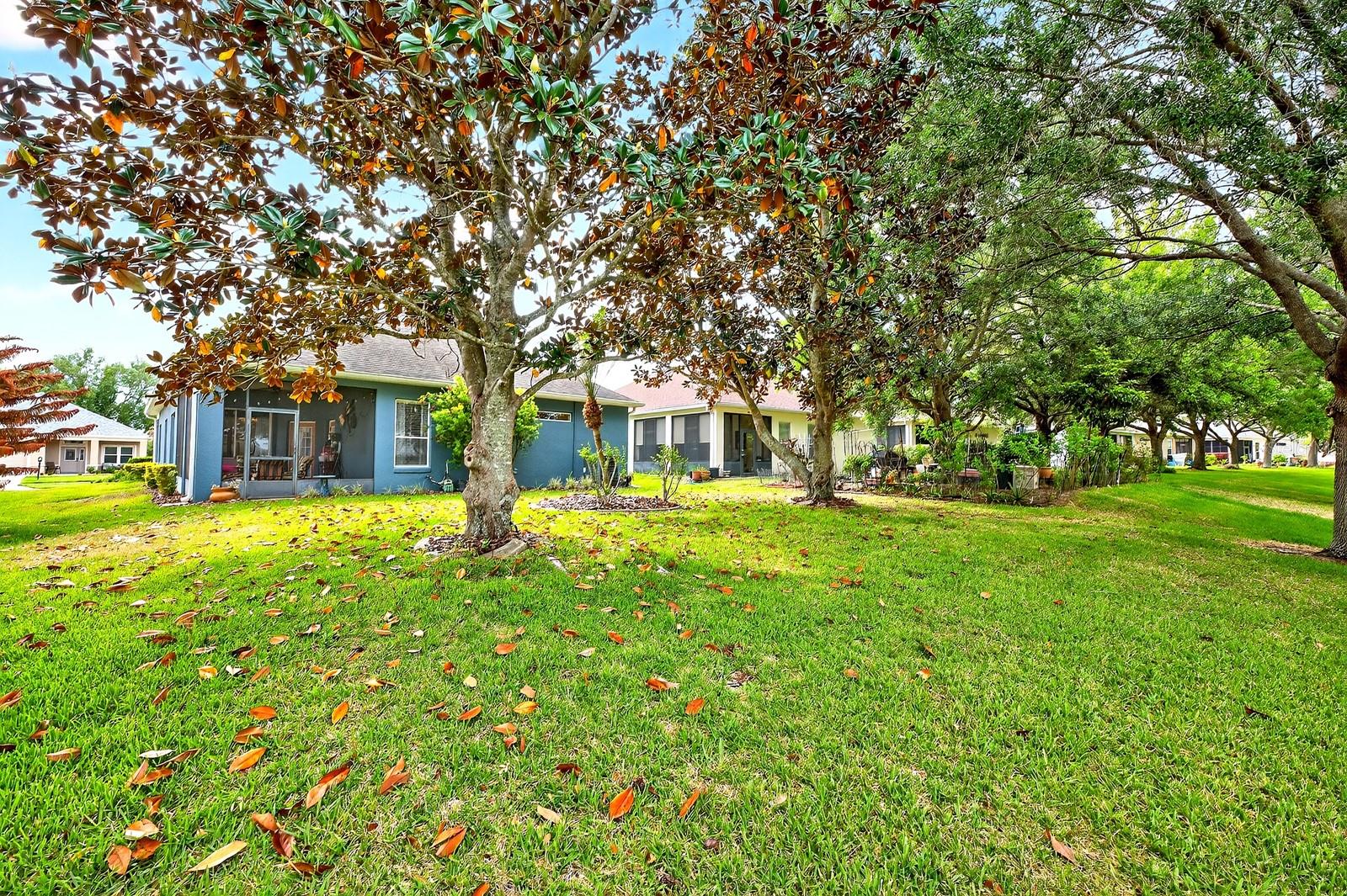 Image 21 of 50 For 3447 Mount Hope Loop