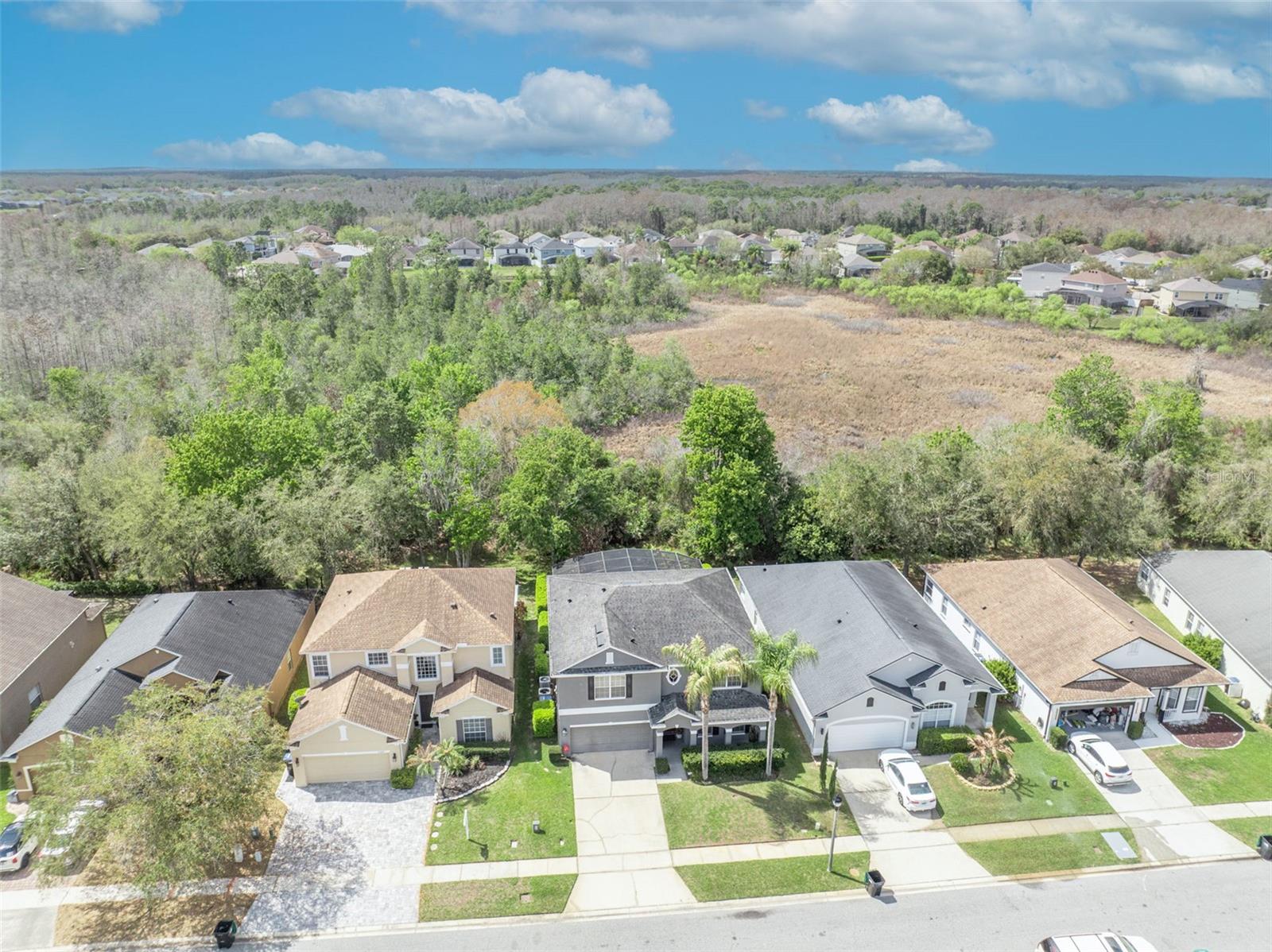 Image 53 of 61 For 13431 Early Frost Circle