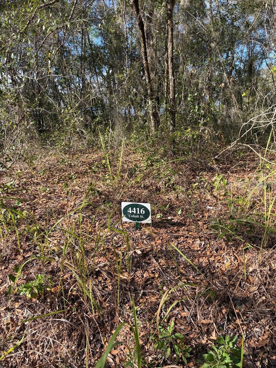 Image 3 of 5 For 4416 Cobalt Street