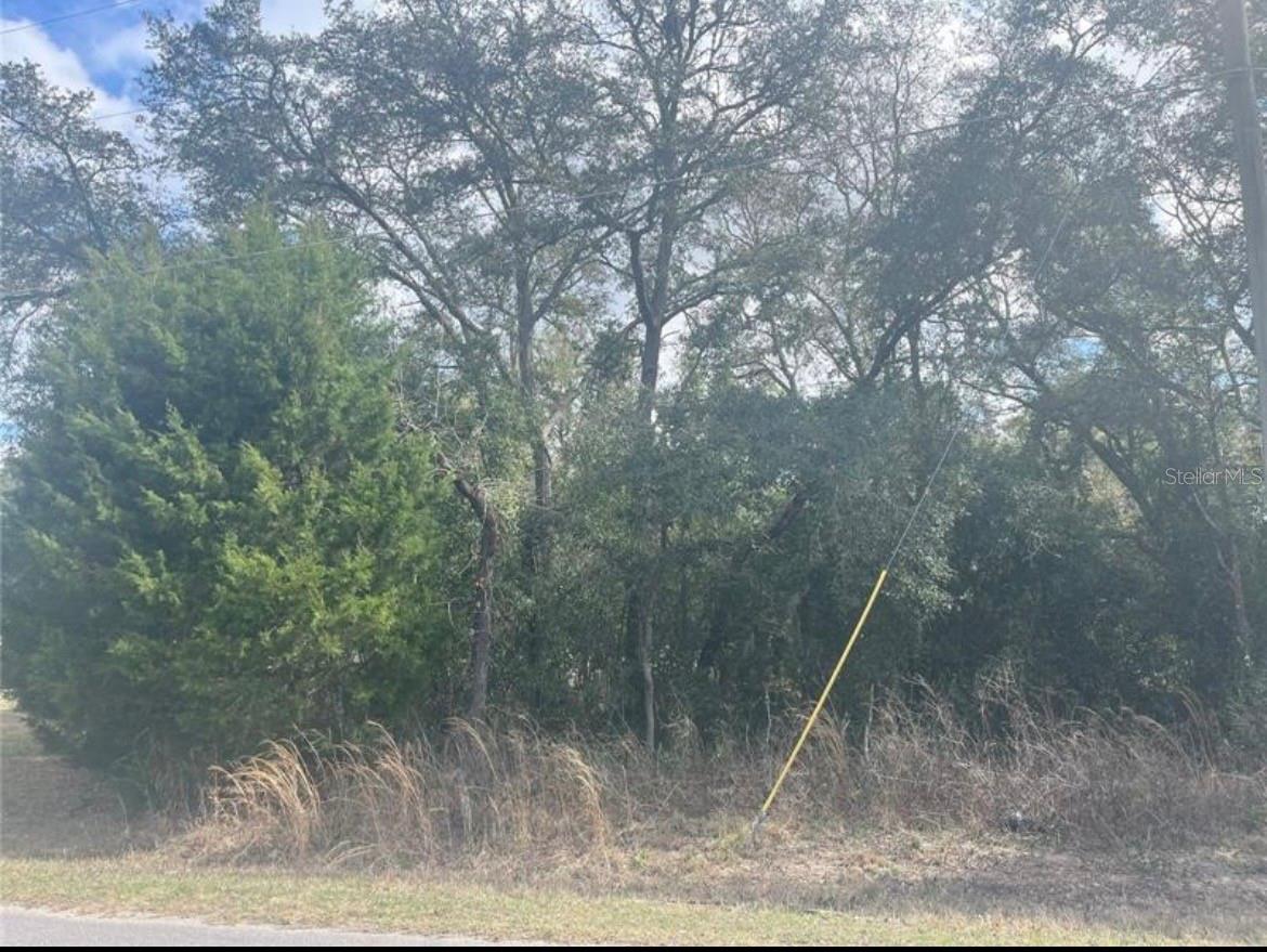 Image 4 of 8 For Tbd 94th Ave