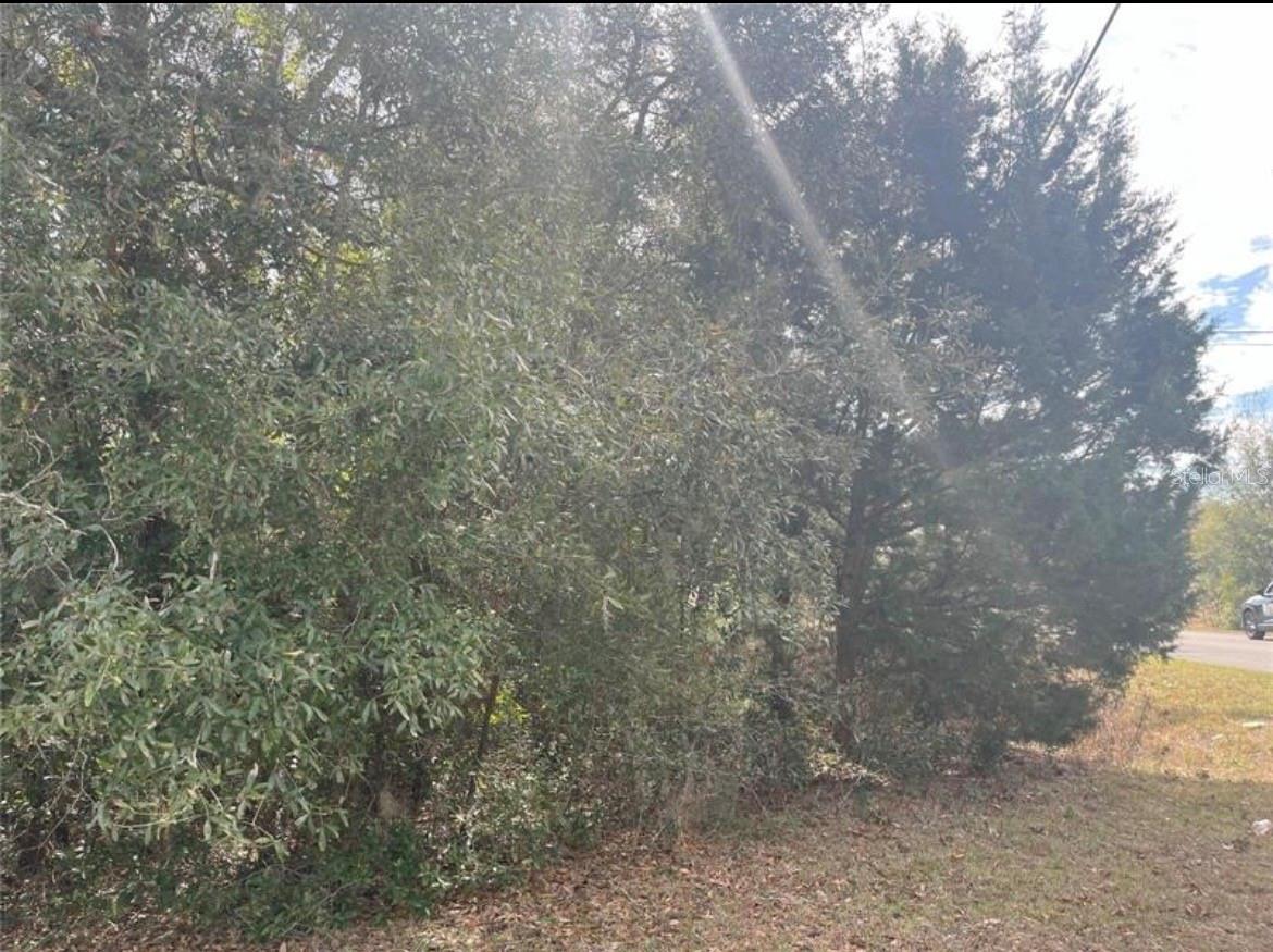 Image 8 of 8 For Tbd 94th Ave