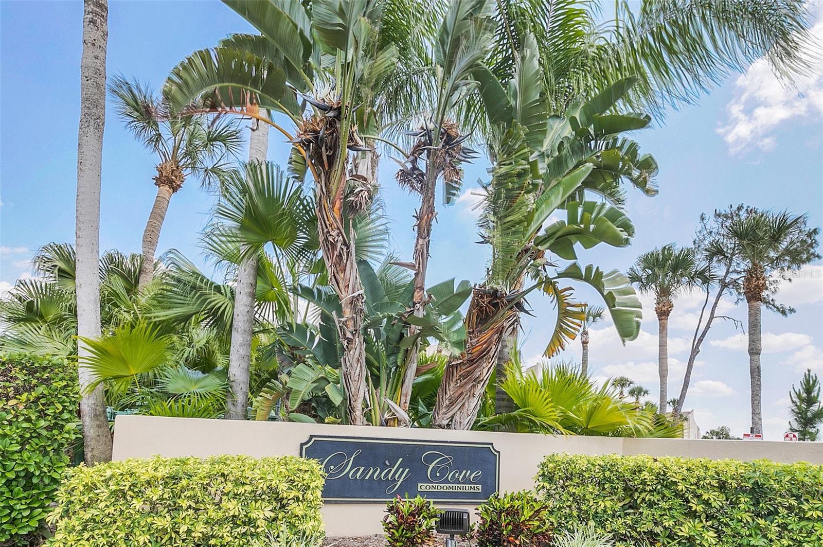 Image 3 of 52 For 626 Orange Drive 242