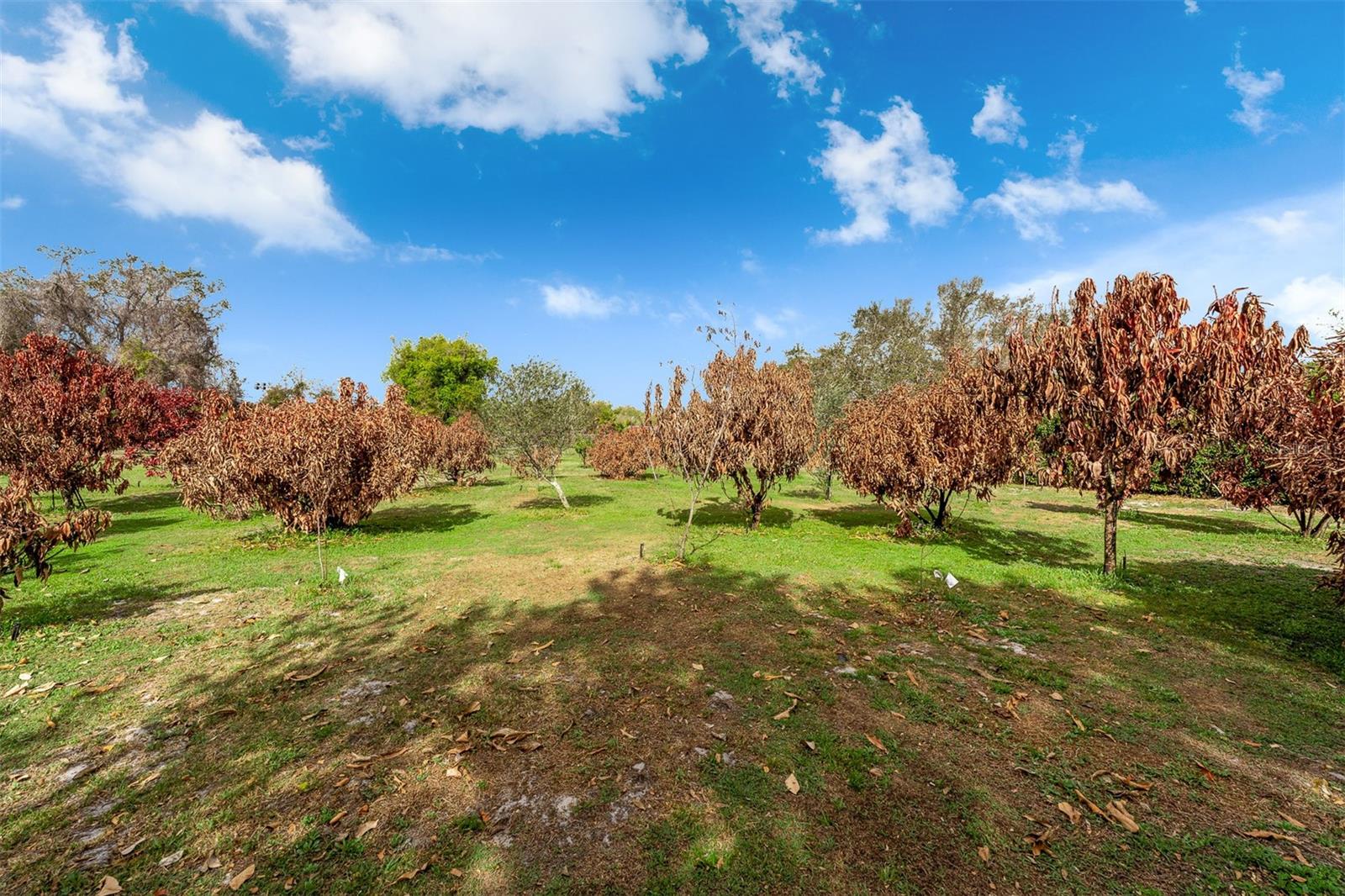 Image 43 of 47 For 8704 Benoit Avenue