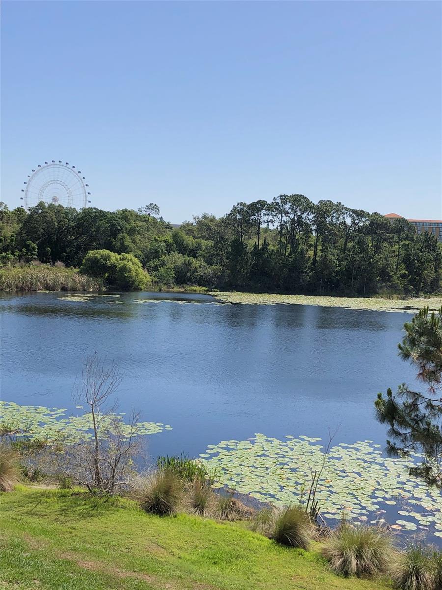 Image 25 of 27 For 8825 Latrec Avenue 6201